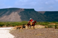 smallcowboy01