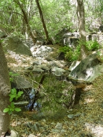 dsc00994