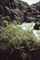 Landscapes