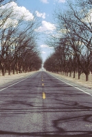 pecan_road